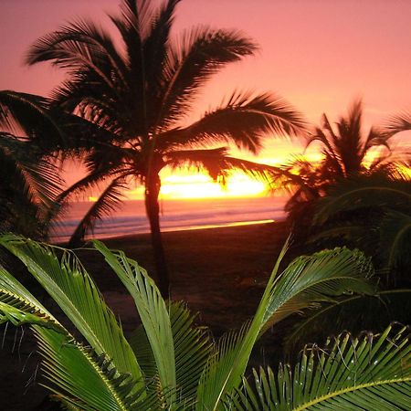 Bungalows Tree Tops - Adults Only Zihuatanejo Exterior photo