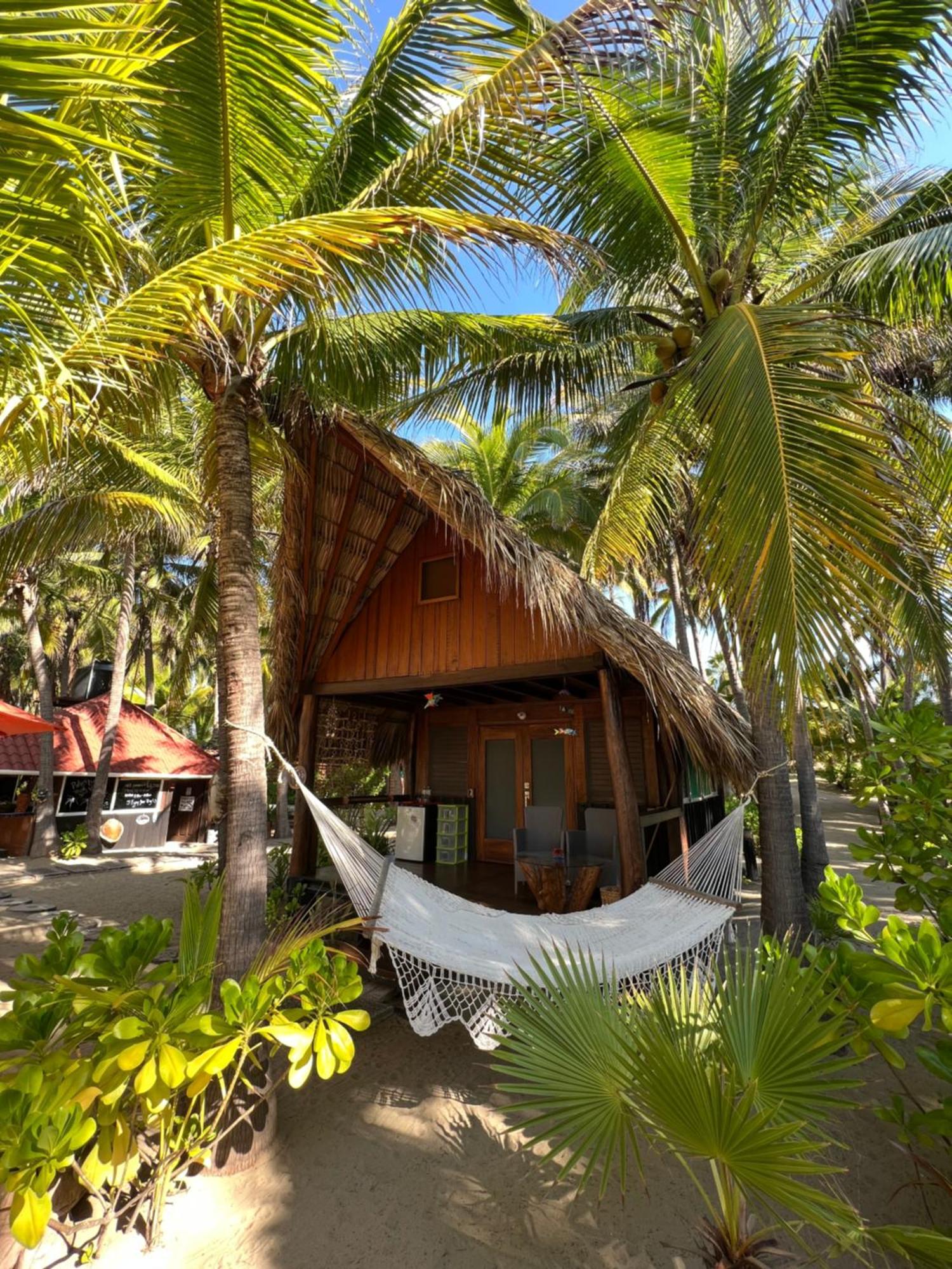 Bungalows Tree Tops - Adults Only Zihuatanejo Exterior photo
