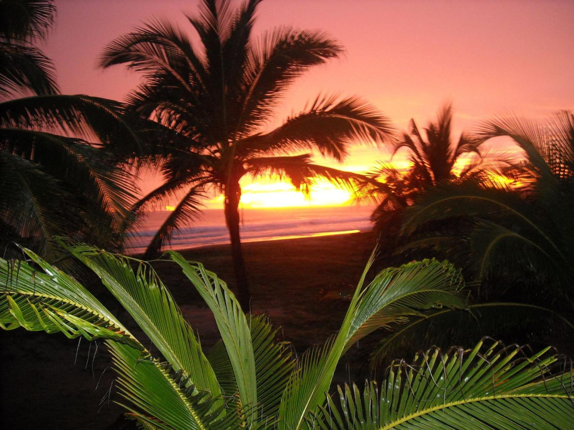 Bungalows Tree Tops - Adults Only Zihuatanejo Exterior photo
