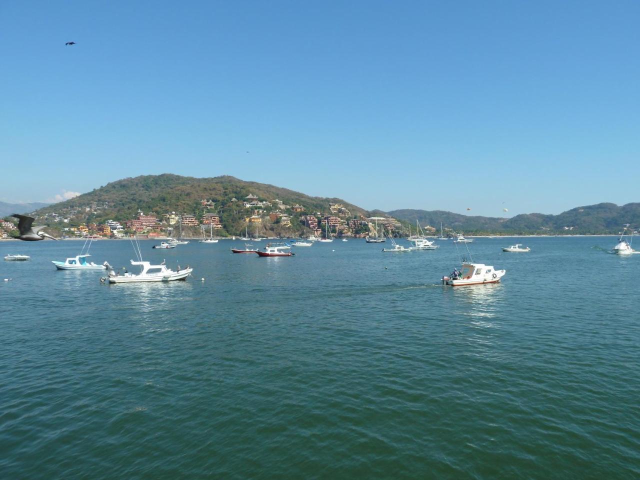 Bungalows Tree Tops - Adults Only Zihuatanejo Exterior photo